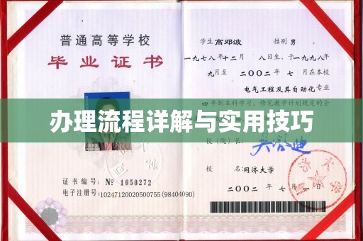 札达办理流程详解与实用技巧