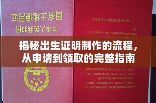 札达揭秘出生证明制作的流程，从申请到领取的完整指南